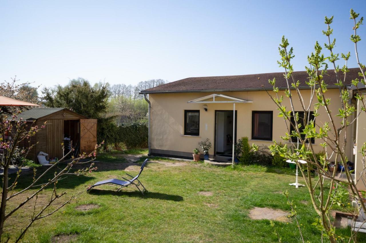 Ferienwohnung Sonnenblume Himmelpfort Pian Zewnętrze zdjęcie