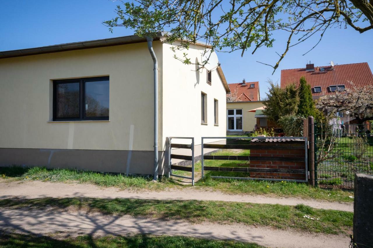 Ferienwohnung Sonnenblume Himmelpfort Pian Zewnętrze zdjęcie