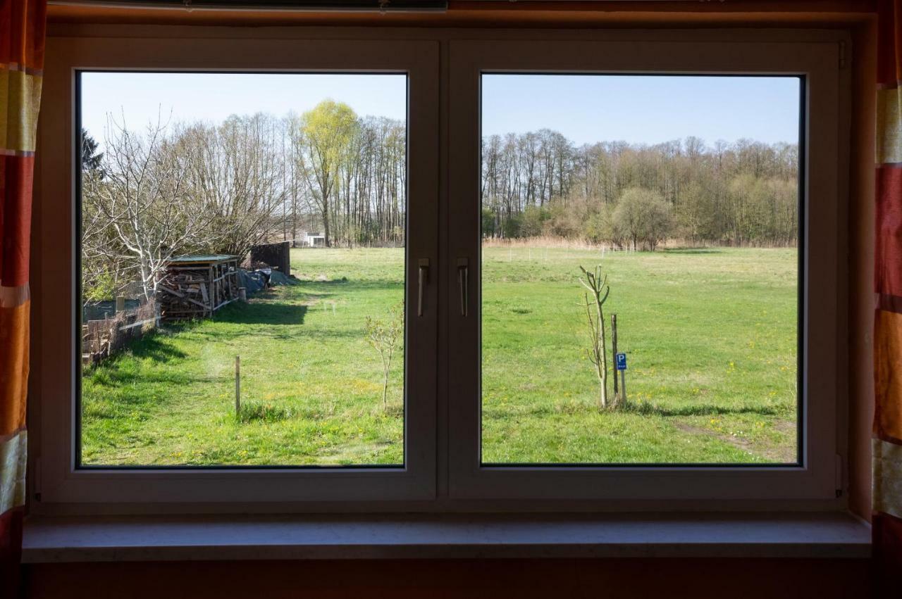 Ferienwohnung Sonnenblume Himmelpfort Pian Zewnętrze zdjęcie